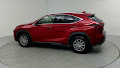 2019 Lexus NX