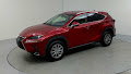 2019 Lexus NX