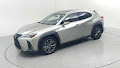 2021 Lexus UX 200 F SPORT